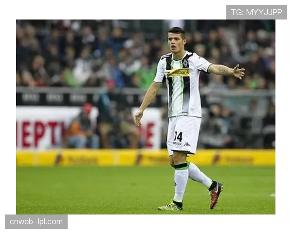 德甲额外转会窗口设立于6月1日至10日。